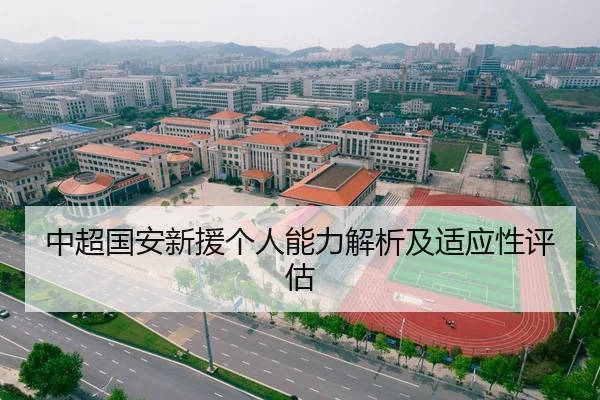 中超国安新援个人能力解析及适应性评估